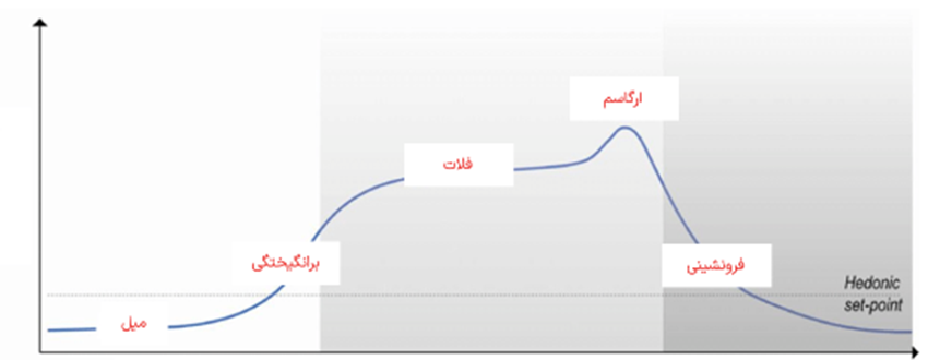چرخه-واکنش-جنسی