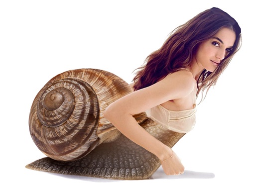 اصطلاح-دختر-حلزون