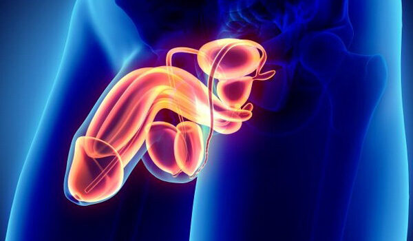 آزواسپرمی (Azoospermia) یک اصطلاح پزشکی است که در صورت عدم وجود اسپرم در انزال یا اسپرم صفر در مردان استفاده می شود.