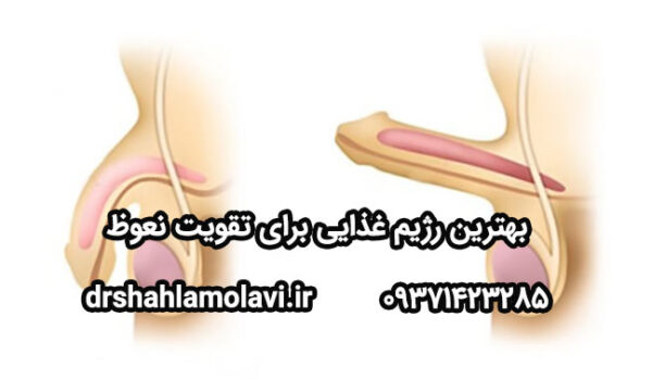 تقویت نعوظ