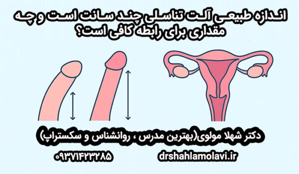 اندازه طبیعی آلت تناسلی